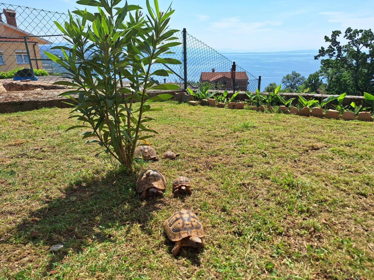 Apartmani Marini Opatija Buitenkant foto